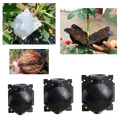 Pack of 3 Air Layering Plant Boxes