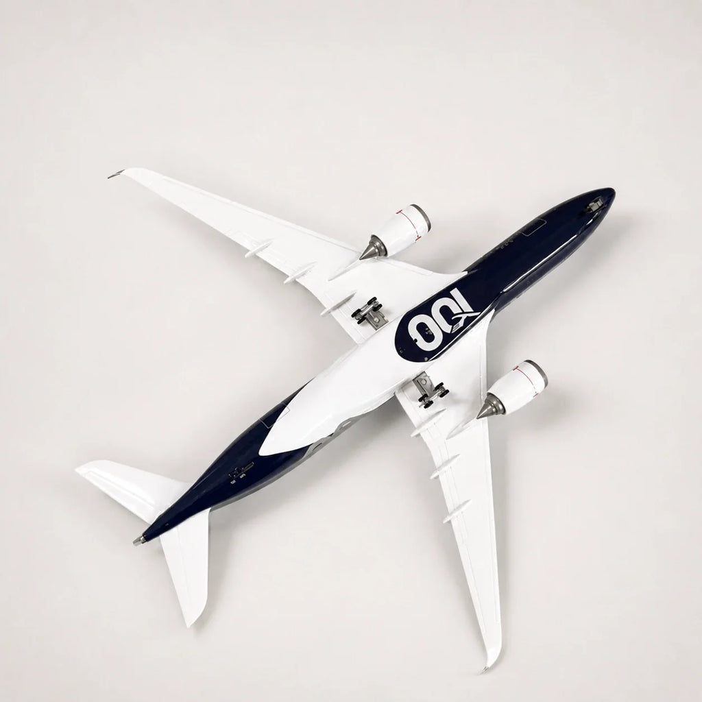 Lufthansa Airbus A350 100 Years Edition 1:142 Scale Model